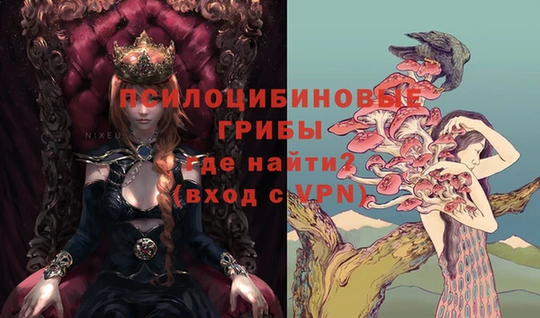 a pvp Зеленокумск
