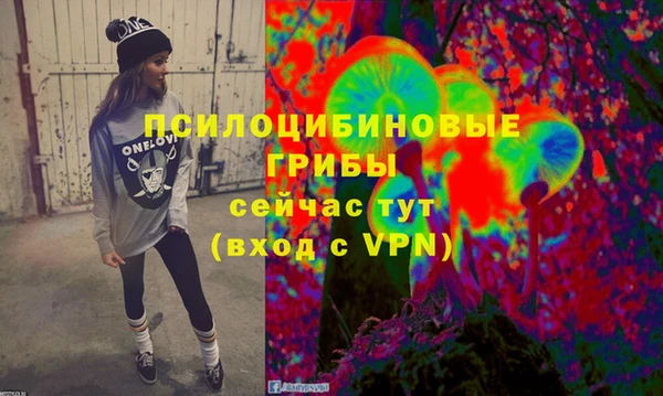 a pvp Зеленокумск