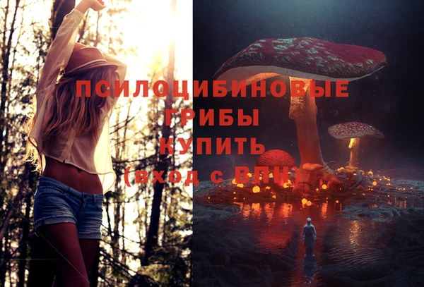 a pvp Зеленокумск